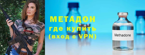 индика Гусь-Хрустальный